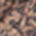 michael kors brn acorn