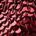 michael kors crimson
